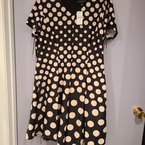 NWT Lane Bryant Fit and Flare Dress
